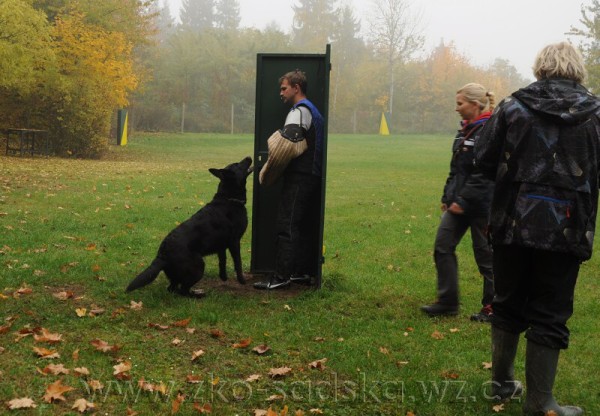 Zvod o pohr msta Sadsk 20.10.2012